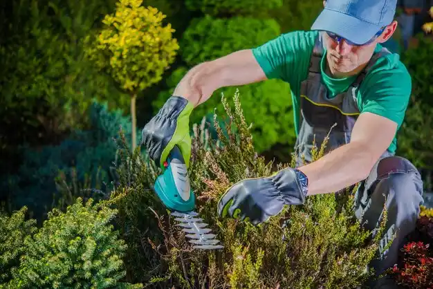 landscaping services Mount Washington